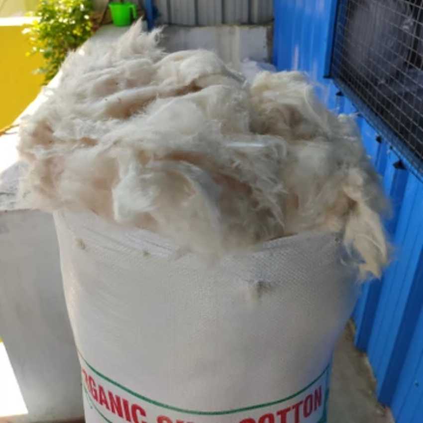 Premium quality ilavam panju 5kg bag